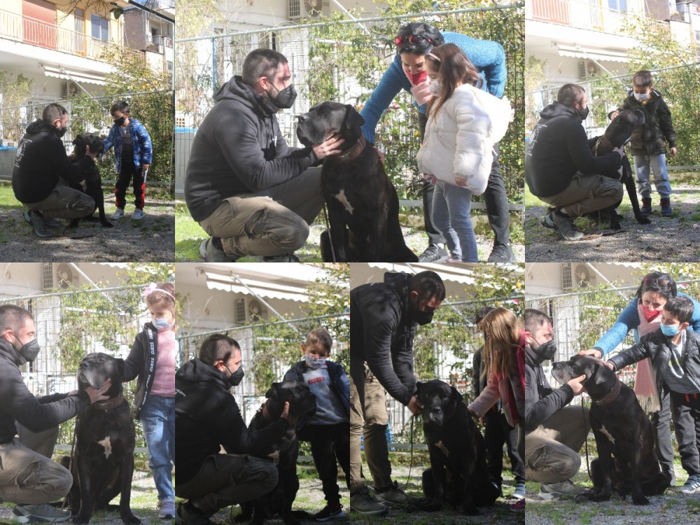 Επίσκεψη στο 3ο Νηπιαγωγείο Σπάρτης